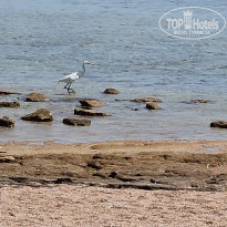 фото из отзыва ID 2735212