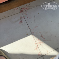 фото из отзыва ID 2735371