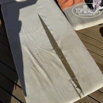 фото из отзыва ID 2735371