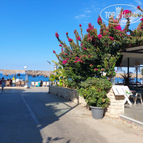 фото из отзыва ID 2735375