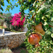 фото из отзыва ID 2735375