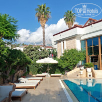 фото из отзыва ID 2735384