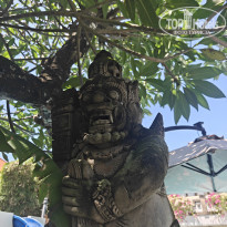 фото из отзыва ID 2735386