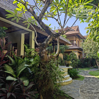 фото из отзыва ID 2735386