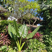 фото из отзыва ID 2735386