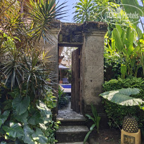 фото из отзыва ID 2735386