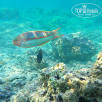 фото из отзыва ID 2735391