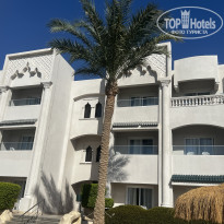 фото из отзыва ID 2735364