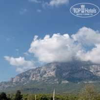 фото из отзыва ID 2735430