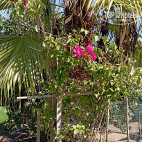 фото из отзыва ID 2735430