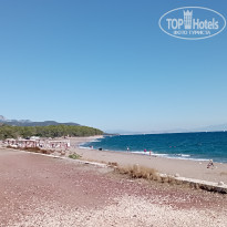 фото из отзыва ID 2735430