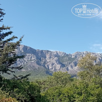 фото из отзыва ID 2735430