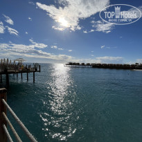 фото из отзыва ID 2735444