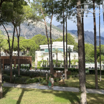 фото из отзыва ID 2735444