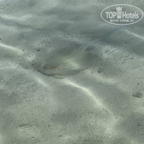 фото из отзыва ID 2735364