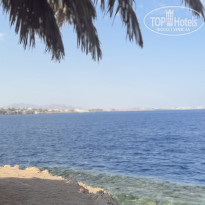 фото из отзыва ID 2735456