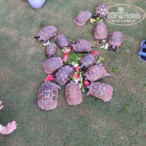 фото из отзыва ID 2735463