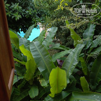 фото из отзыва ID 2735504