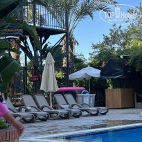 фото из отзыва ID 2735543