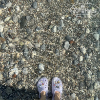 фото из отзыва ID 2735527