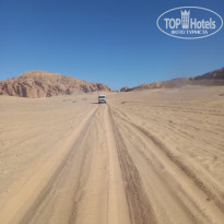 фото из отзыва ID 2735564