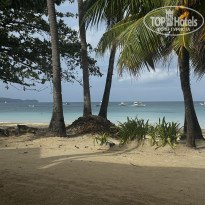 фото из отзыва ID 2735571