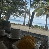 фото из отзыва ID 2735571