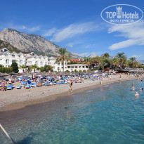 фото из отзыва ID 2735578