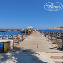 фото из отзыва ID 2735578