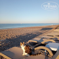 фото из отзыва ID 2735584