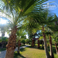 фото из отзыва ID 2735584