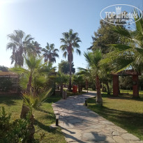 фото из отзыва ID 2735584