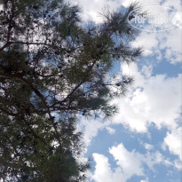 фото из отзыва ID 2735584