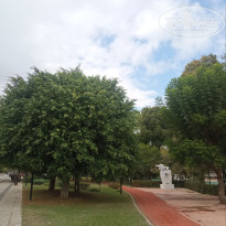 фото из отзыва ID 2735584