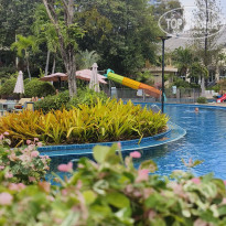 фото из отзыва ID 2735589