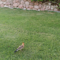 фото из отзыва ID 2735601