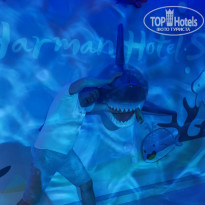 фото из отзыва ID 2735595