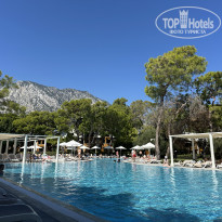 фото из отзыва ID 2735627