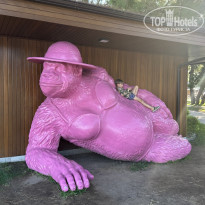 фото из отзыва ID 2735627