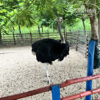 фото из отзыва ID 2735633