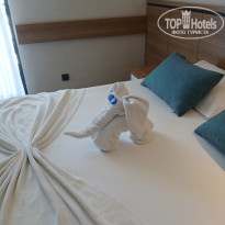 фото из отзыва ID 2735635