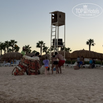 фото из отзыва ID 2735646