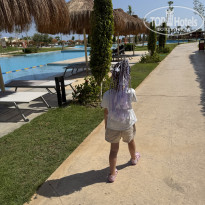 фото из отзыва ID 2735646