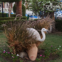 фото из отзыва ID 2735624