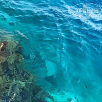 фото из отзыва ID 2735624