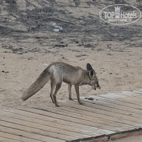 фото из отзыва ID 2735658