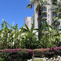 фото из отзыва ID 2735662