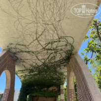 фото из отзыва ID 2735662