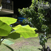 фото из отзыва ID 2735662