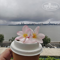 фото из отзыва ID 2735667